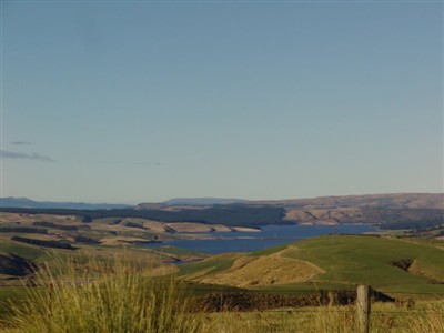 Te Papanui Conservation Park - Lester Hewitt