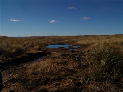 Te Papanui Conservation Park - Lester Hewitt