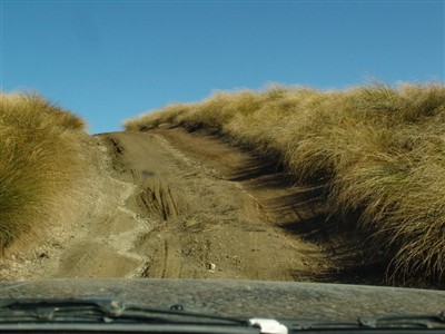 Te Papanui Conservation Park - Lester Hewitt