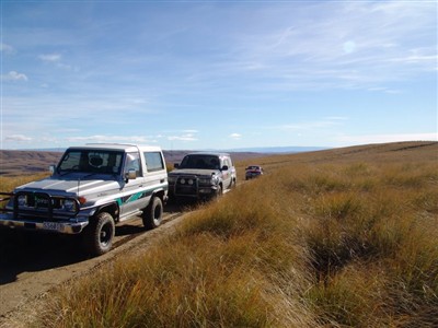 Te Papanui Conservation Park - Lester Hewitt