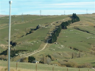 Te Papanui Conservation Park - Lester Hewitt