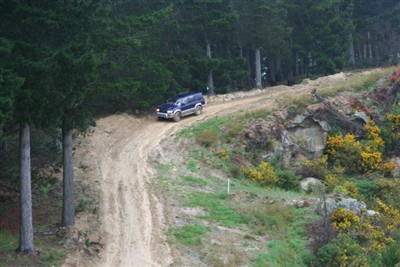 Palmerston Environs
