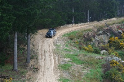 Palmerston Environs