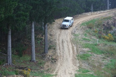 Palmerston Environs
