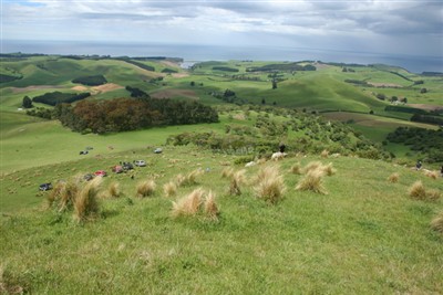Palmerston Environs - Puketapu