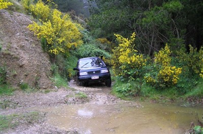 Palmerston Environs