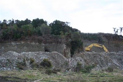 Gold Mines a plenty