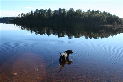 Lake Hochstetter and environs