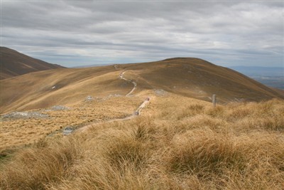 Mt Alexander - Ron Sim