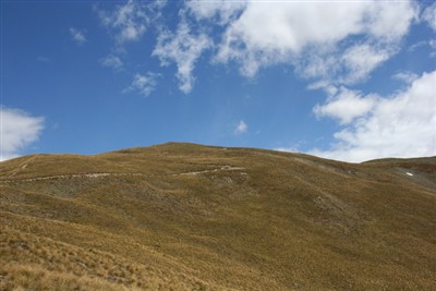 Mt Alexander