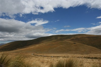 Mt Alexander