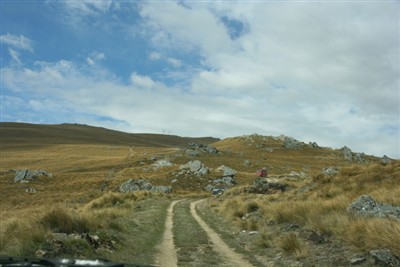 Mt Alexander
