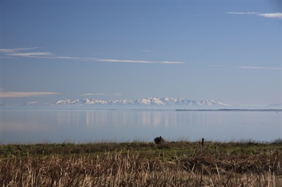Banks Peninsula and Environs