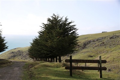 Banks Peninsula and Environs