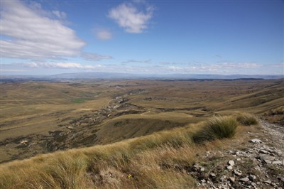 Oteake Conservation Park
