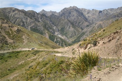 Clarence Reserve - Private Trip