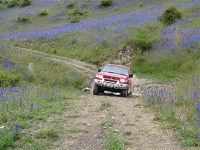 Clarence Reserve - Private Trip