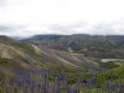 Clarence Reserve - Private Trip
