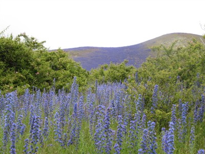 Clarence Reserve - Private Trip