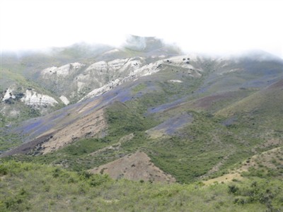 Clarence Reserve - Private Trip