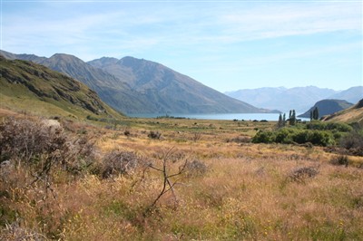 West Wanaka - Minaret Area