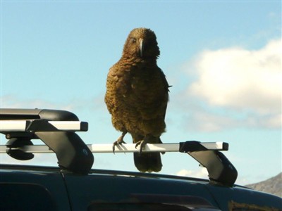 Hokitika