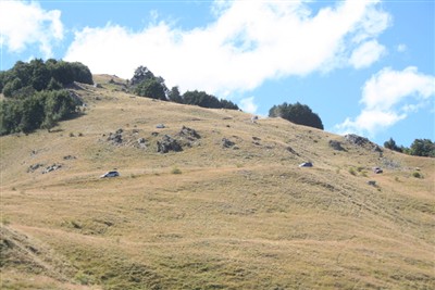 Lindis - Forest Range - photos by Ron Sim