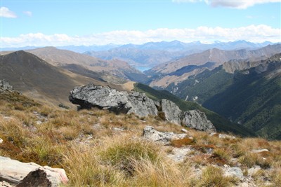 Lindis - Forest Range - photos by Ron Sim