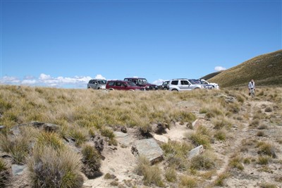 Lindis - Forest Range - photos by Ron Sim
