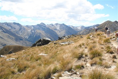 Lindis - Forest Range - photos by Ron Sim