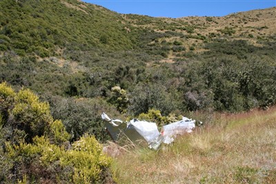 Lindis - Forest Range - photos by Ron Sim