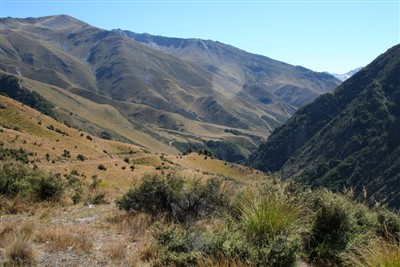 Lindis - Forest Range - photos by Ron Sim