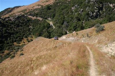 Lindis - Forest Range - photos by Ron Sim