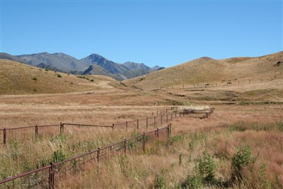 Lindis - Forest Range - photos by Ron Sim