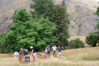 Wanaka environs - Ron Sim pics