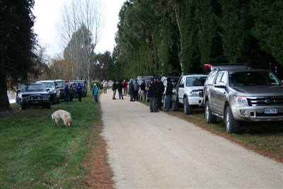 Private Forestry Cruise