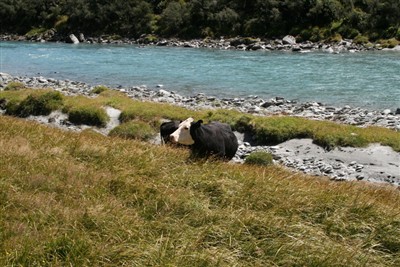 Mt Aspiring Jan 2016 - Ron Sim