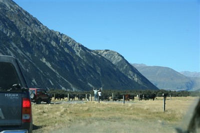 Glenthorne - Lake Coleridge