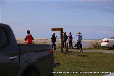 South Coast Scenic Tour 2016