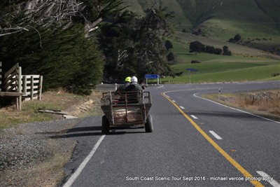 South Coast Scenic Tour 2016