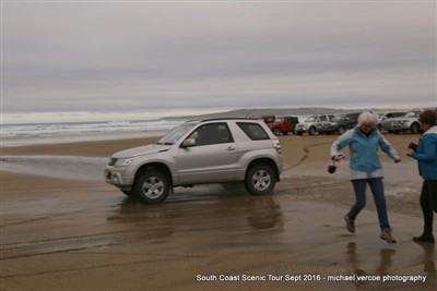 South Coast Scenic Tour 2016