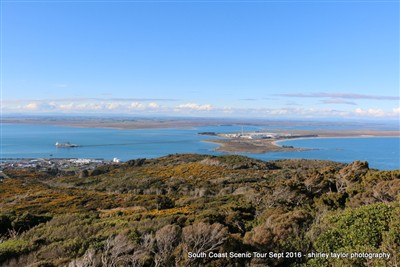 Shirley Taylor pix South Coast Safari