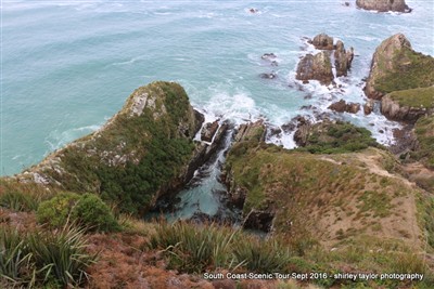 Shirley Taylor pix South Coast Safari