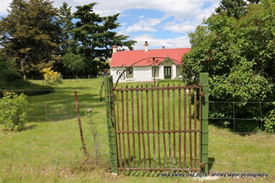 Haka Valley - Shirley Taylor pix