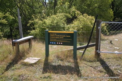 Lauder Basin - Ron Sim