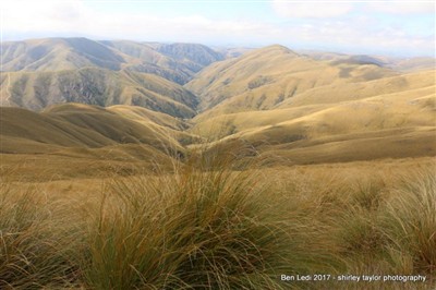 Mt Pisgah - Kakanui's