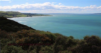 Southern Scenic Safari - Invercargill