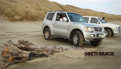 Southern Scenic Safari - 2017 - Pix Noel Pullan