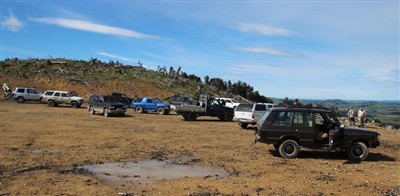 Waimate Forest - pix by Noel Pullan