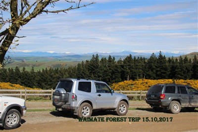 Waimate Forest - pix by Noel Pullan